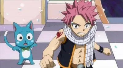 Quel animal accompagne Natsu ?