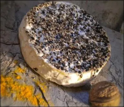 La ronde des fromages commence avec un fromage affiné à la cendre :