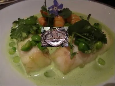 Quelle est cette préparation ?