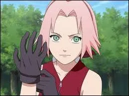 'Naruto' : elle s'appelle Haruno Sakura. Déterminez la bonne information.