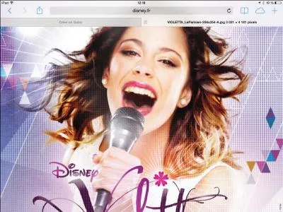 Cette image a été faite pour :