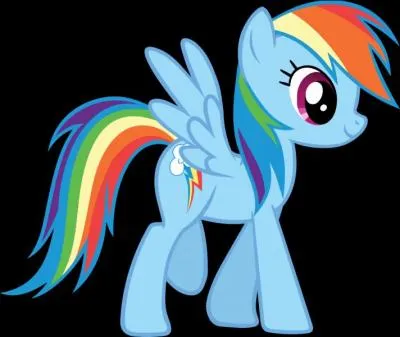 Quelle est la passion de Rainbow Dash ?