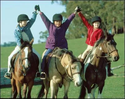 Quelle srie est-ce ?