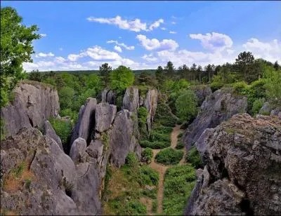 Des quatre départements que je vous cite, lequel n'est pas limitrophe de celui des Ardennes ?