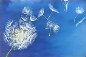 Où se trouve l'aventure pour Charles Lindbergh ?