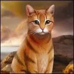 Qui est le mentor de Oeil de Geai ?