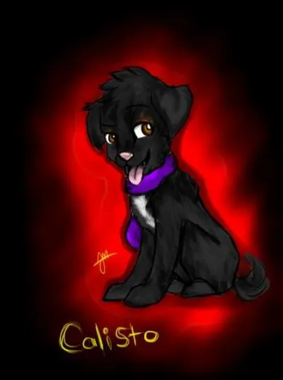 Qui est Sol et que fait-il ?