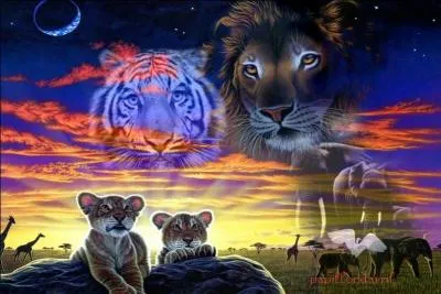 Que veulent faire Oeil de Geai, sa soeur et son fr&egrave;re pour aider le clan de l'Ombre ?