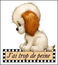 Dans quel film de Michel Deville sorti en 1992, a-t-on pu voir Jacques Dutronc et Patrick Bruel dans les rôles principaux ?