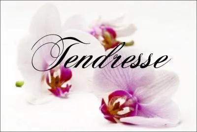 Ils ont tous les trois chanté "La tendresse". Mais lequel (ou laquelle) a dit ces paroles : "La tendresse c'est un geste, un mot, un sourire, quand on oublie que tous les deux on a grandi" ?