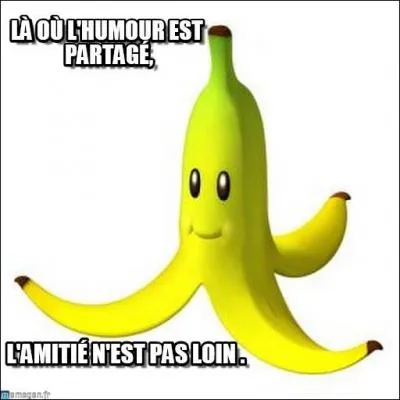 Dans les années 60 qui chantait "L'amitié" et disait : "Beaucoup de mes amis sont venus des nuages, avec soleil et pluie comme simples bagages" ?