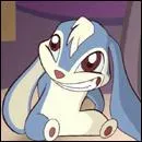 À qui appartient ce petit lapin ?