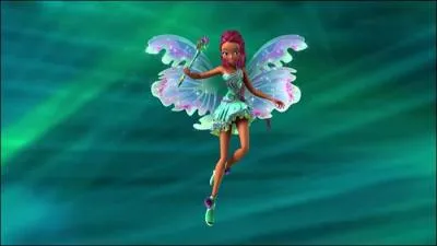 Comment s'appelle cette transformation ?