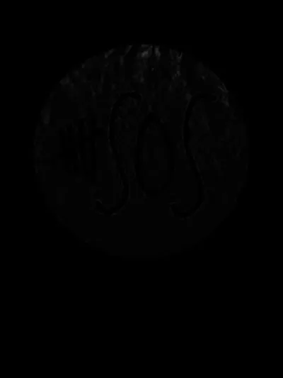 Ashton a déclaré que « ... serait le premier à mourir dans une apocalypse de zombies. ». 
Qui est-ce ?