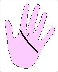 En chiromancie comment appelle-t-on cette ligne de la main ?