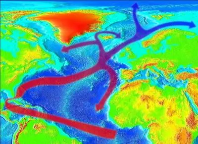 Quelle est la température moyenne du Gulf Stream ?