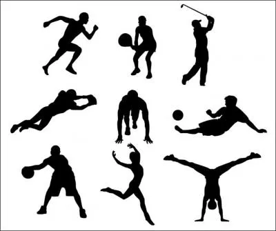 A quel sport appartient l'expression demi-volte ?