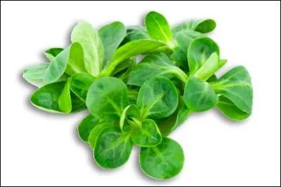 250 épisodes, avec des personnages en vert kaki... En continu, ça fait plus de 6 jours. Le temps d'une guerre ?