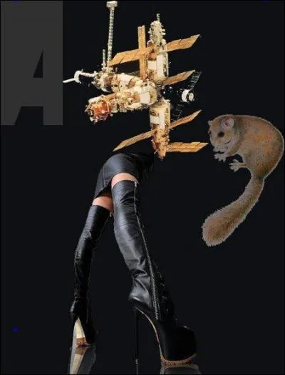 Enfin, question repêchage avec le feuilleton sempiternel : allez-vous me dire 3 mots ?