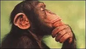 C'est le nom d'une divinité de la mythologie égyptienne, maître de la foudre et dieu de l'aridité :