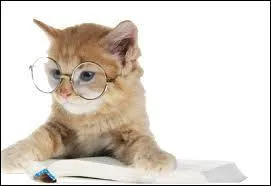 Dans la religion hindoue, elle est notamment la déesse de la mort, du temps et de la destruction :