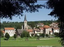 Je vous emmène à dix kilomètres de chez moi, à Frémonville. Village lorrain, il se situe dans le département n° ...
