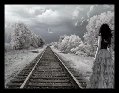 Qui chantait " Et toutes tes larmes ne pourront pas me rendre la confiance que j'avais pour toi, je ne peux plus t'aimer ..." ?