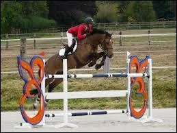 Et cette discipline là ?