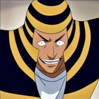 Qui a vaincu Rayure ?