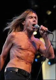 Iggy Pop apparaît sur les écrans publicitaires du site de petites annonces ''Le Bon Coin'' . Quel est le surnom du chanteur ?