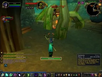 Quelle est l'attaque de cette druidesse ?