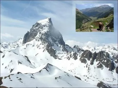 À quel animal associez-vous le nom de ce pic des Pyrénées françaises ?