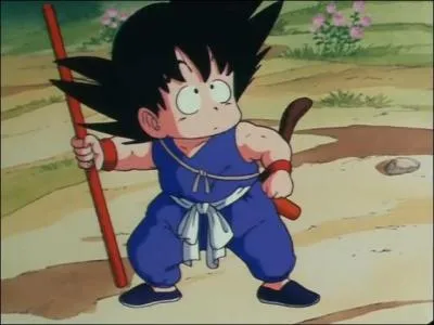 Comment s'appelle le personnage principal de cette série ?