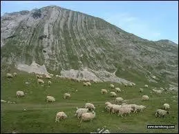Quel est le point culminant du Monténégro ?