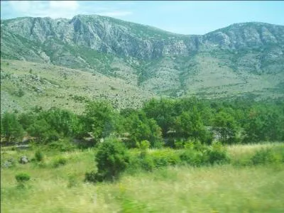 Quelles sont les trois couleurs du drapeau de la Bosnie-Herzégovine ?