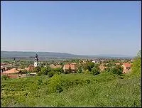 Dans quel pays se trouve la région appelée "Voïvodine" ?