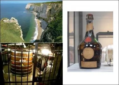 La ville qui abrite mon musée se situe sur la ---------.