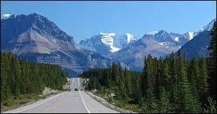 Dans quel(le) territoire ou province pourrez-vous parcourir la magnifique route panoramique appelée "Icefield Parkway" ?