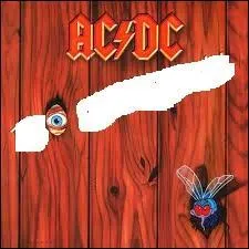 Cette réalisation d'AC/DC datant de 1985 s'appelle :