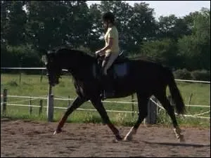 Quelle position dois-tu avoir lorsque tu es en selle ?