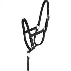 Quelle partie n'est pas sur le licol ?