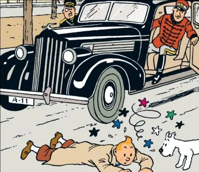 Qui gouverne la Syldavie ?