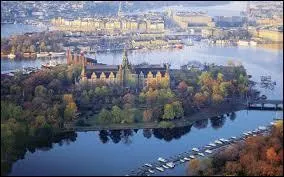 Lequel de ces pays n'a pas de blanc sur son drapeau national ?