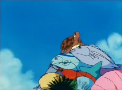 Quel est le nom de la jeune tortue de cette image, fils de la tortue vivant à Kame House ?