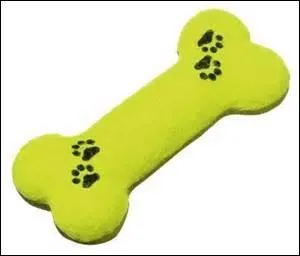 Où le plus petit os de votre corps ne se situe-t-il pas ?