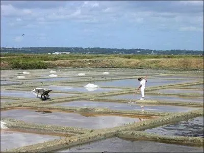 A quelle date le nom de ce département fut-il donné à la place se son ancien nom de Loire-Inférieure ?