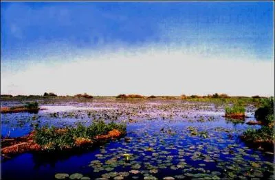 Quel est ce lac de très faible profondeur (moins de 2 mètres) visible dans le sud du département ?