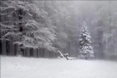 En ne conservant que les blancs des ufs, nous les obtiendrons en [---].