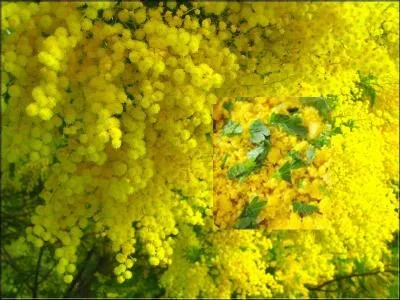 On les appelle, bien évidemment [---].