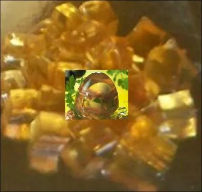 Pour une entrée froide, les ufs en [---].